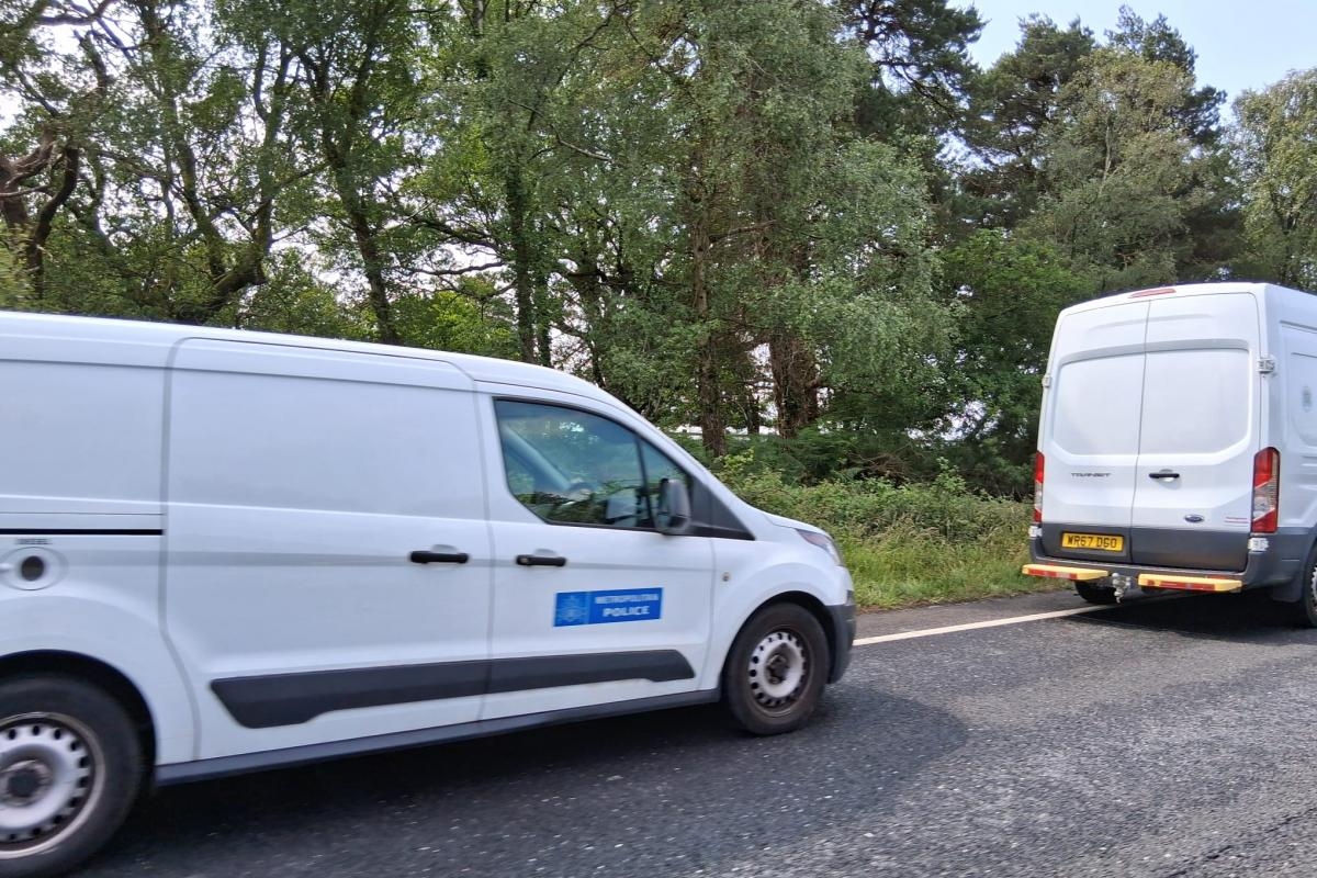Part of A31 closed westbound amid murder probe after body found