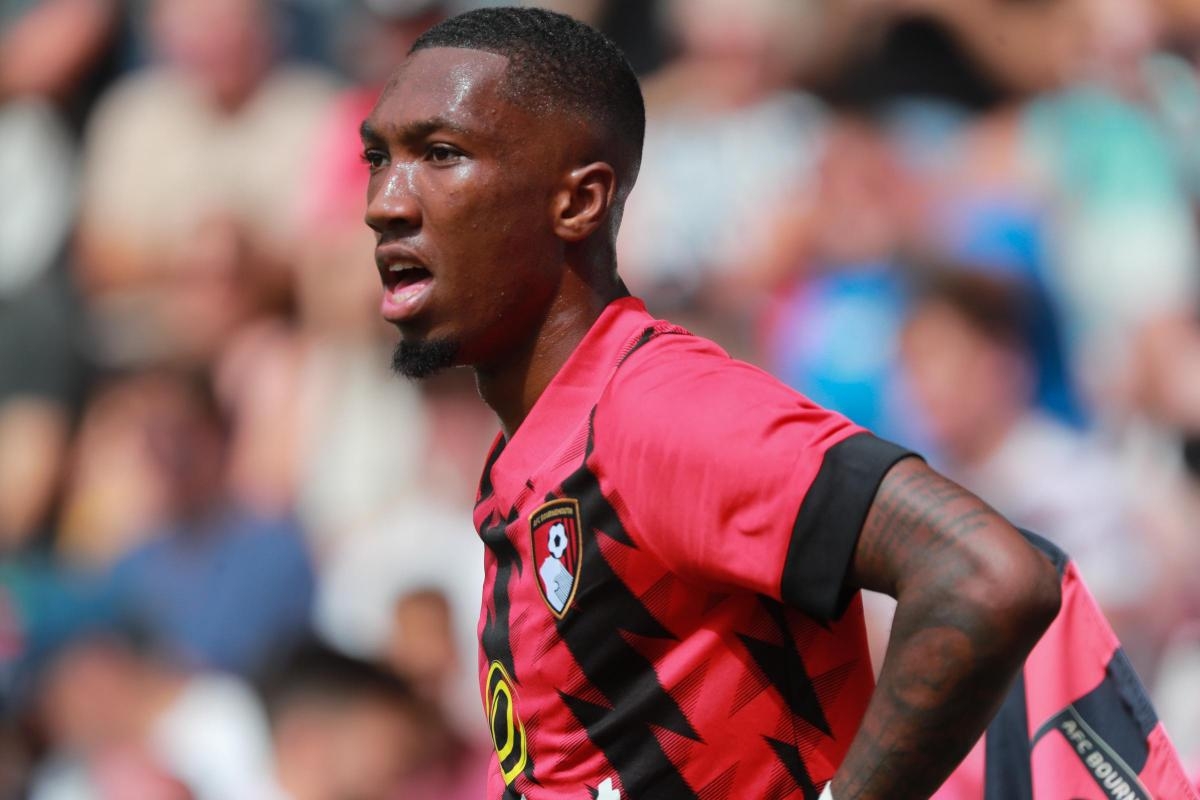 Anthony's move to Burnley after promotion confirmed by Cherries
