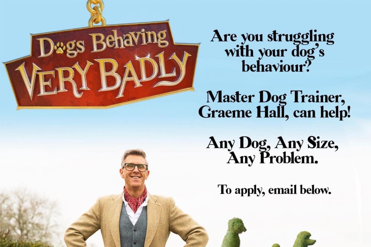 Channel 5 show searching for dog owners who need help