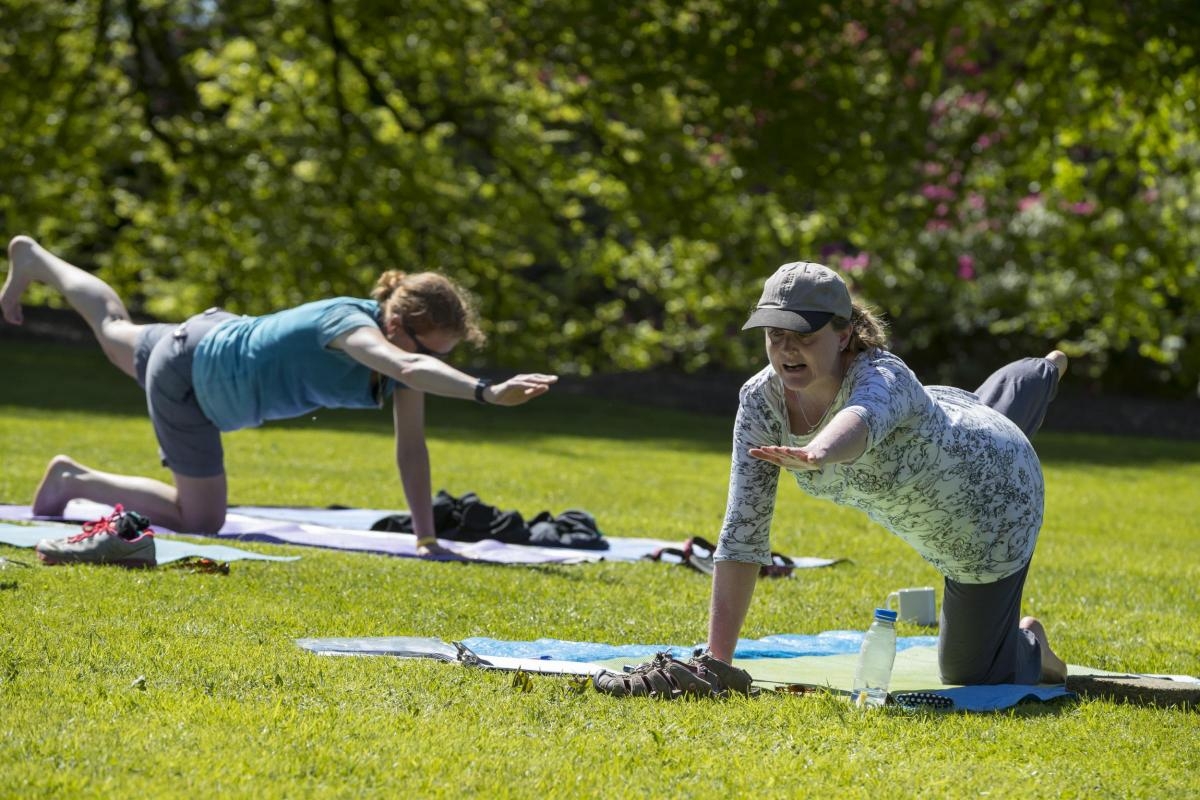 Yoga and meditation sessions to be held on Brownsea Island