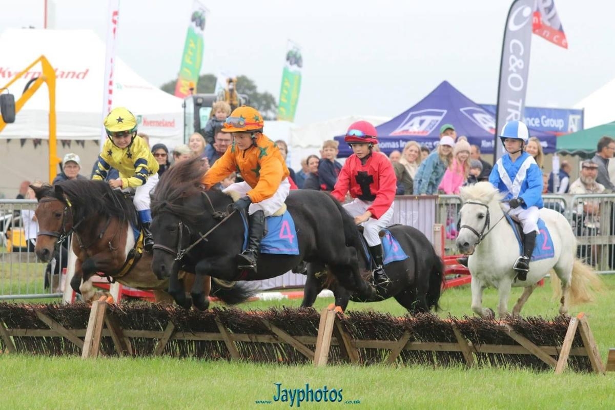 Dorset Spring Show set to returns for a second year this May