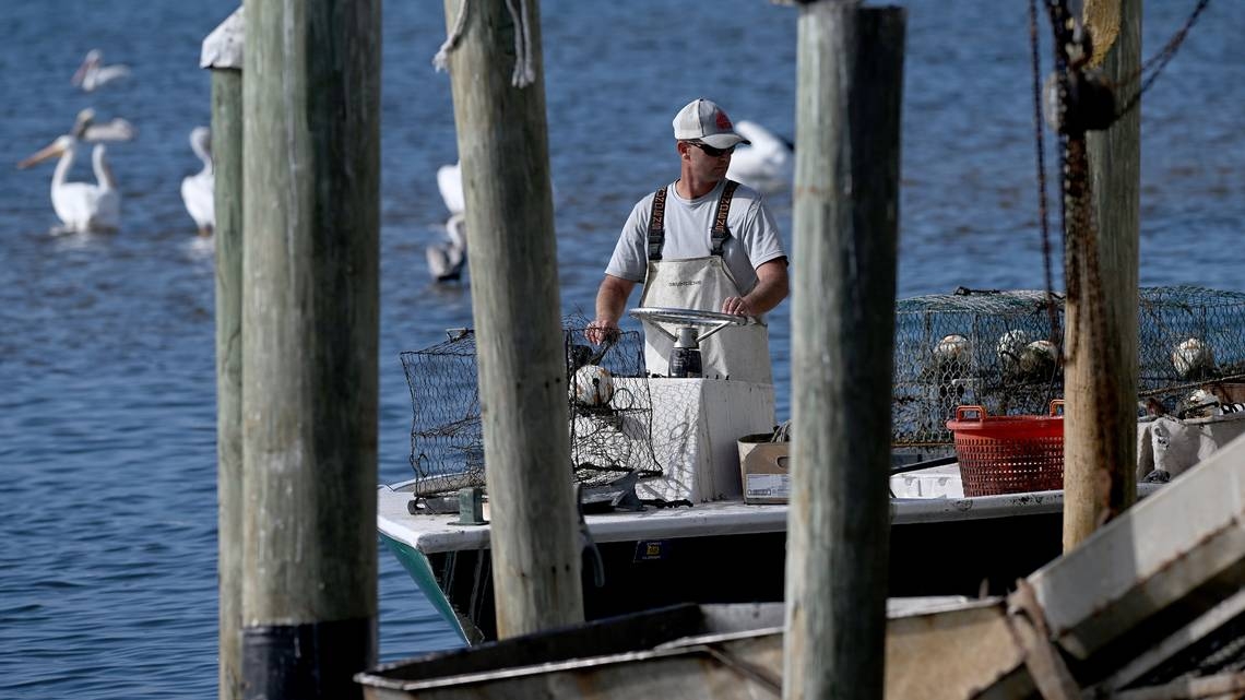 NOAA cuts could harm Southwest Florida fishing economy, threaten red tide research