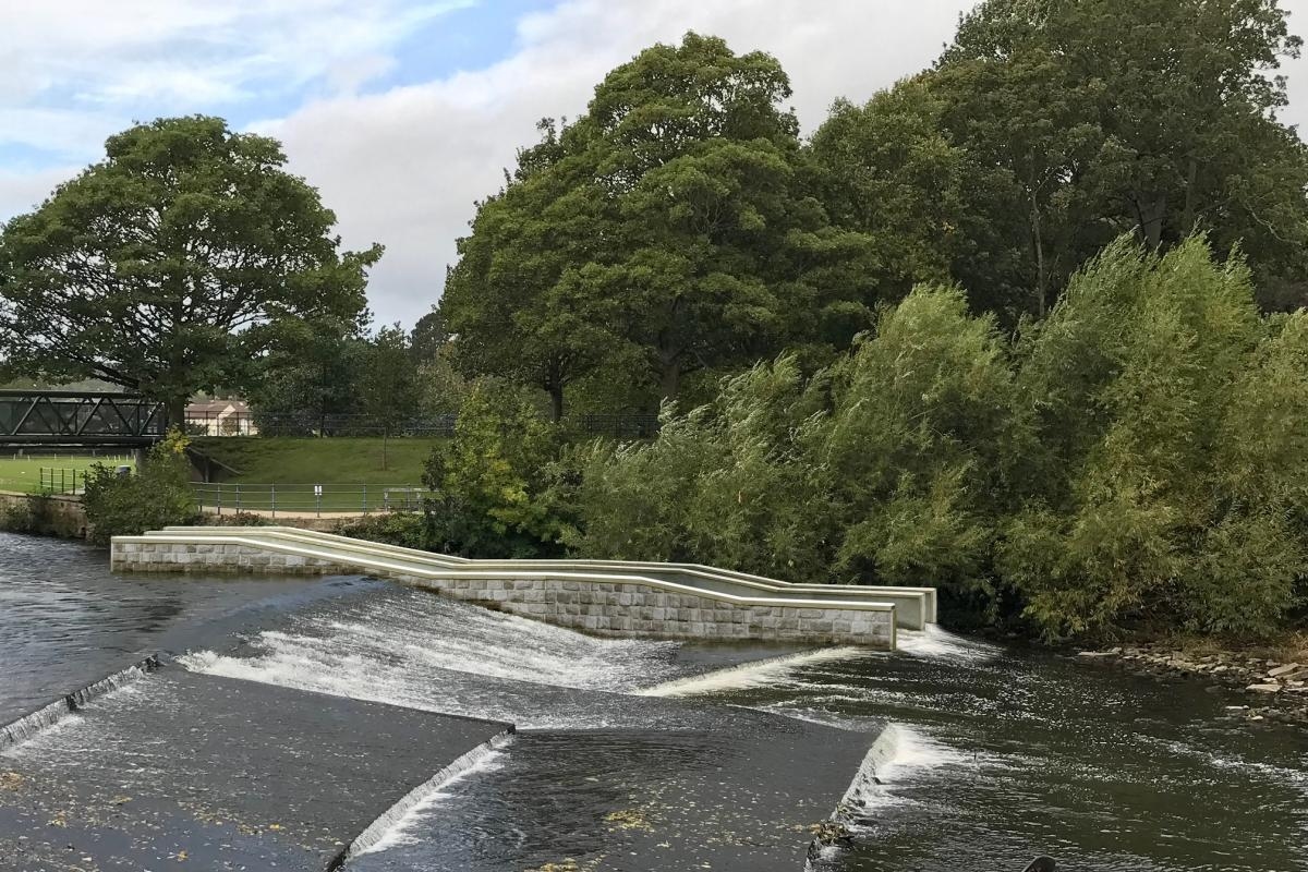 On this day: salmon Dale migration enabled by 'DNAire' fish passes