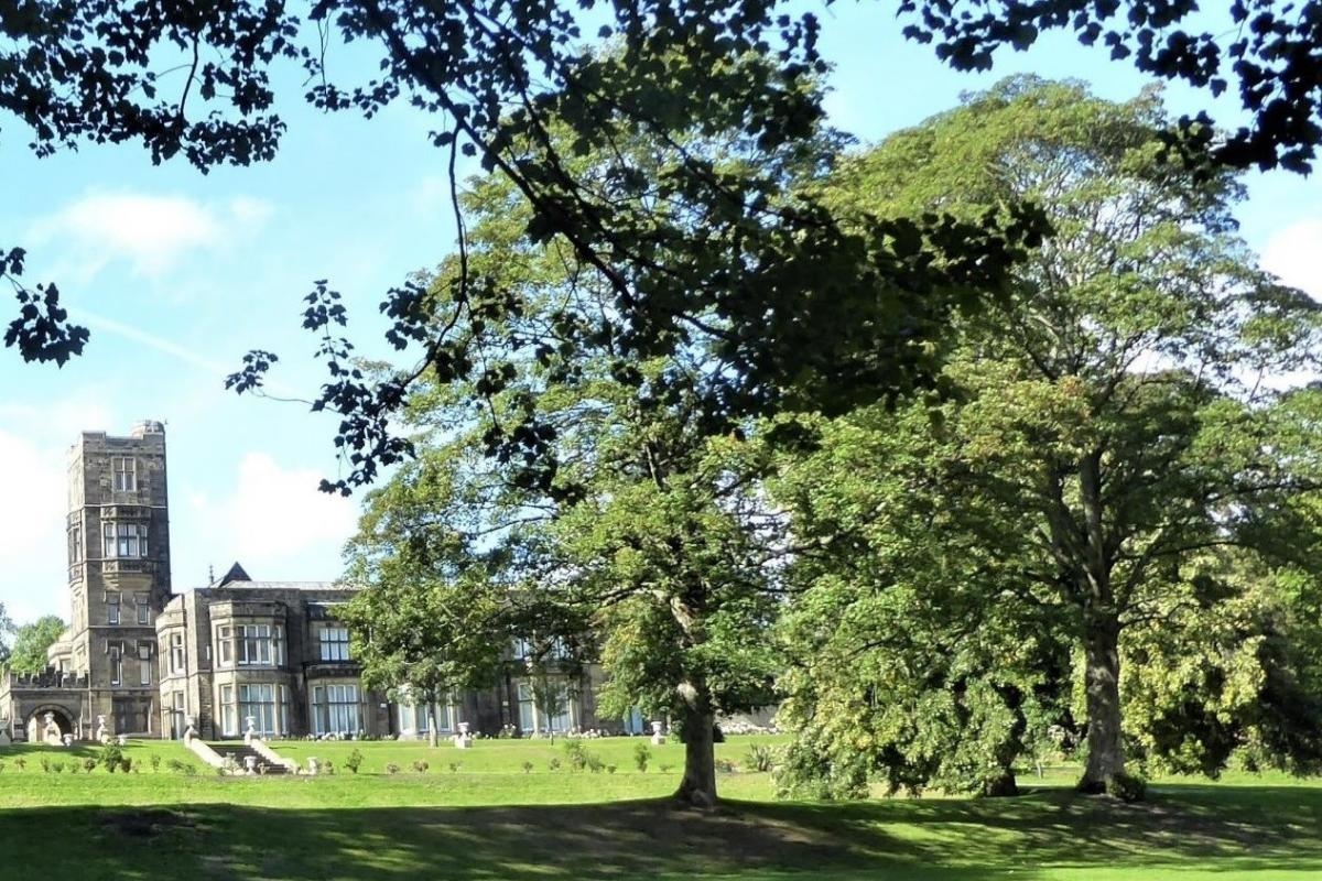 Ice age art to be showcased alongside Matisse at Cliffe Castle Museum