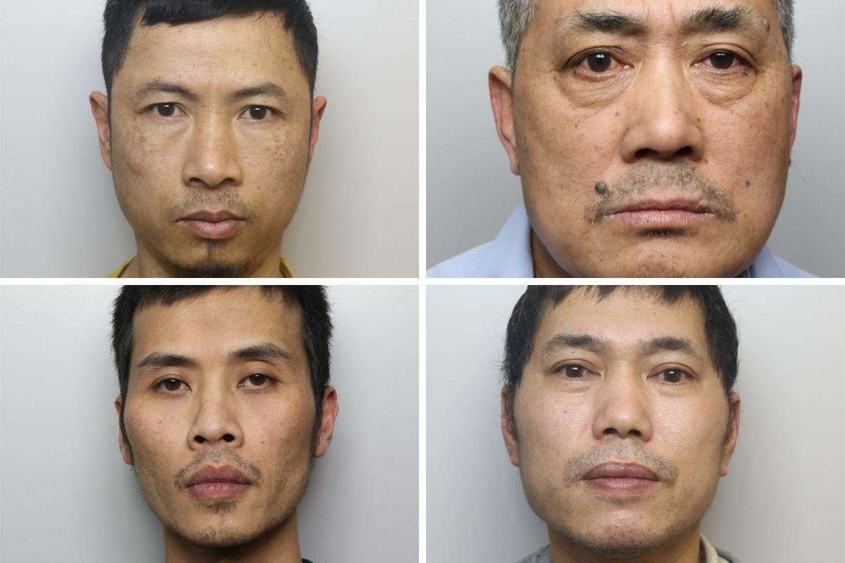 Four men jailed after 'industrial scale' cannabis factory busted by police