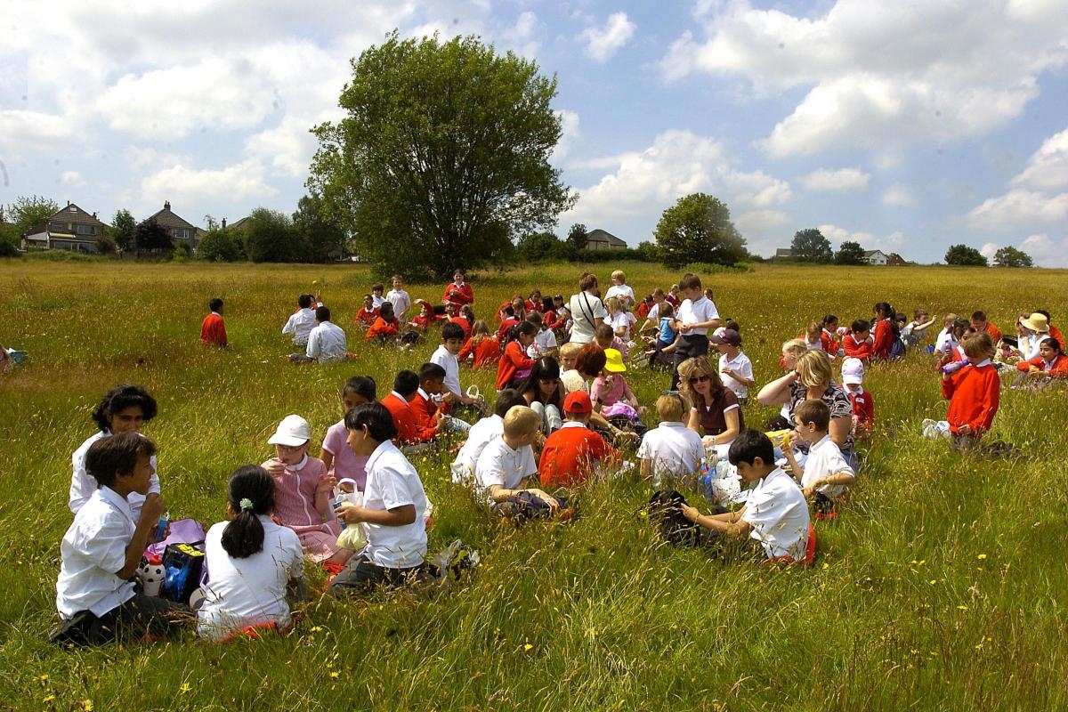 It's picnic time - let's make the most of summer