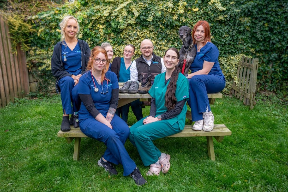 Ashlands Vets team to tackle Yorkshire Three Peaks Challenge