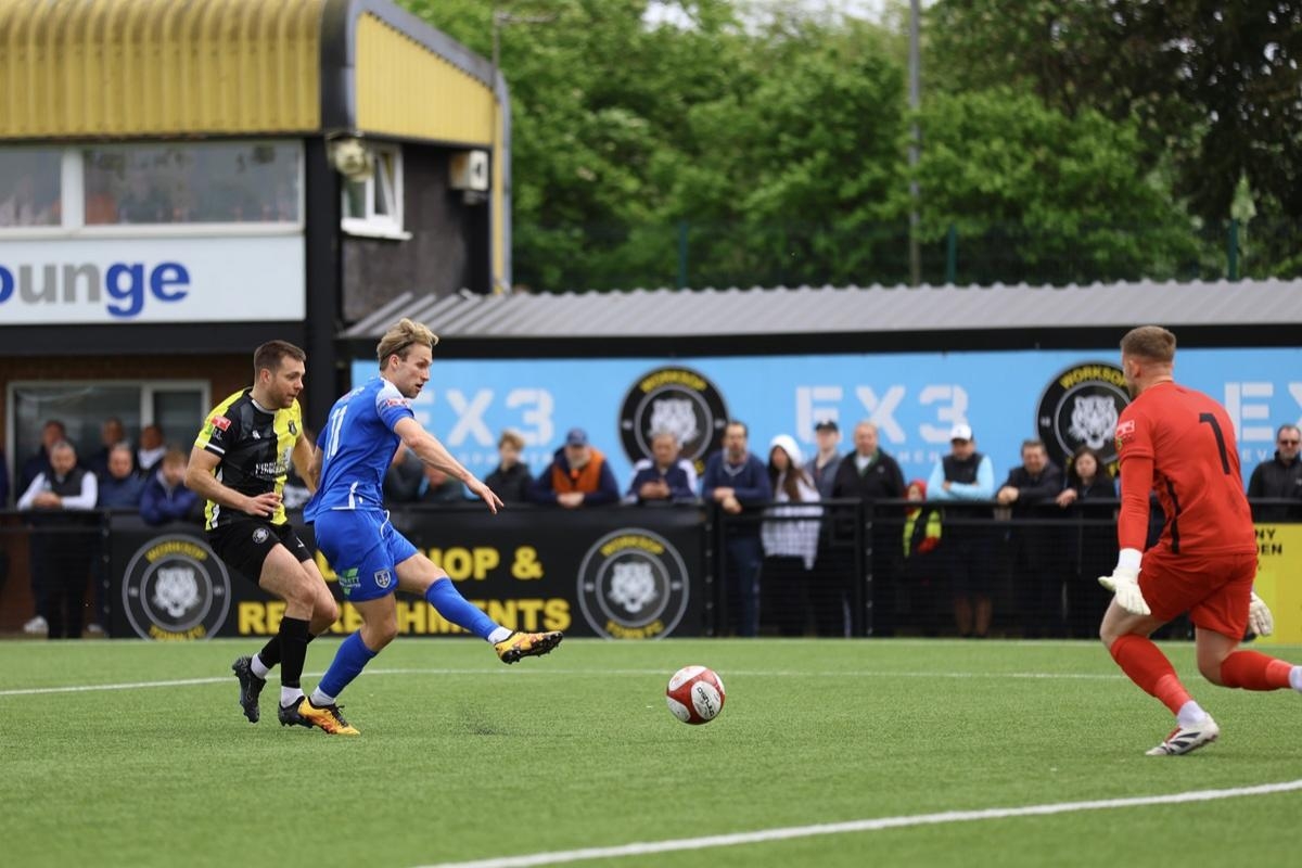 Guiseley fall just short in play-off final as side fail to make most of reprieve