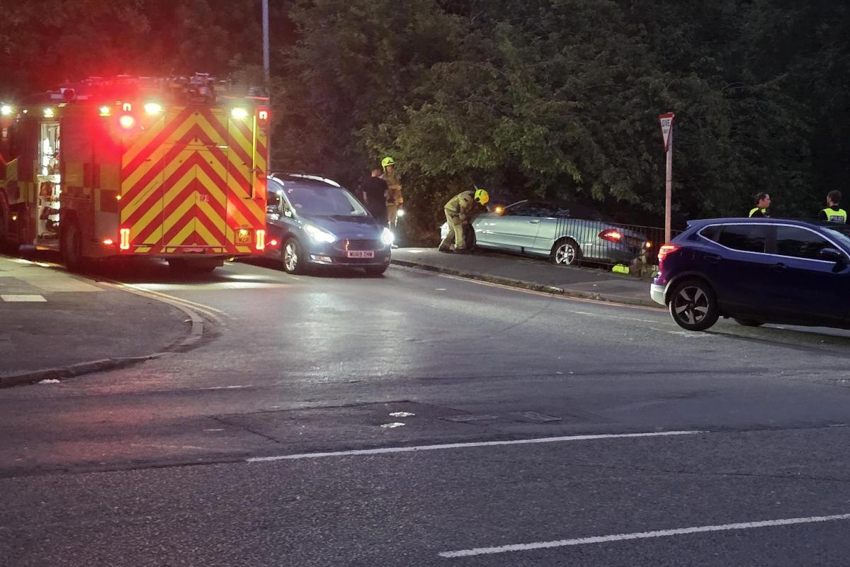 Police and fire at scene of car that has crashed into trees near bridge