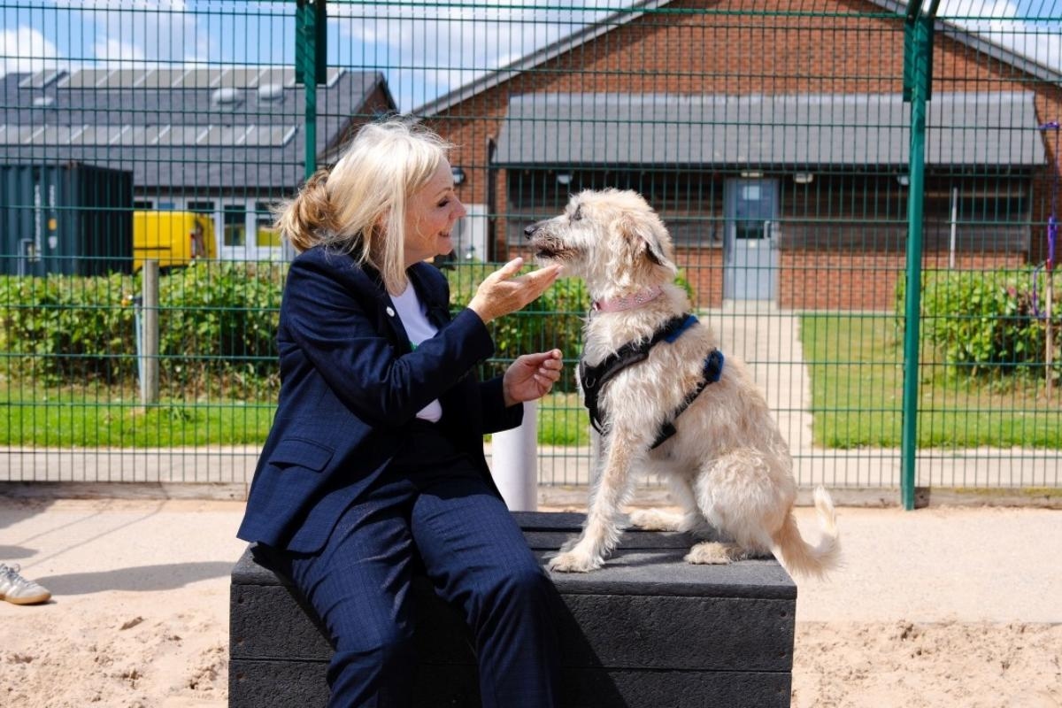 West Yorks mayor meets Daisy the Lurcher at Dogs Trust Leeds