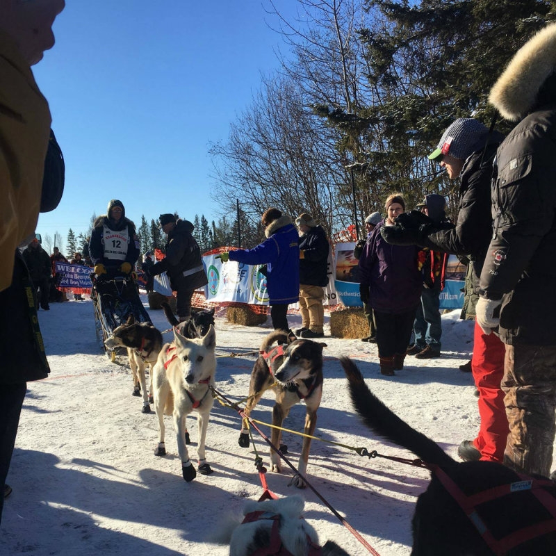 After delays, start of sled dog marathon moved due to 'unseasonably warm temperatures'