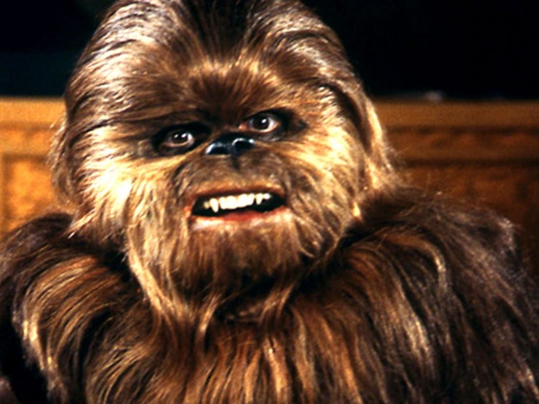 May the Fourth be with you: 7 ways to celebrate Star Wars Day in the Twin Cities
