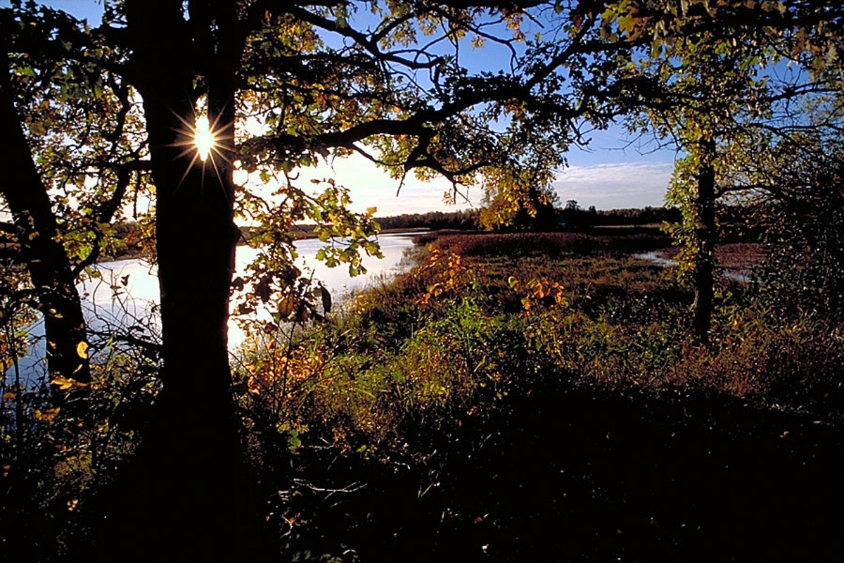 Minnesota state parks will be free for everyone next weekend