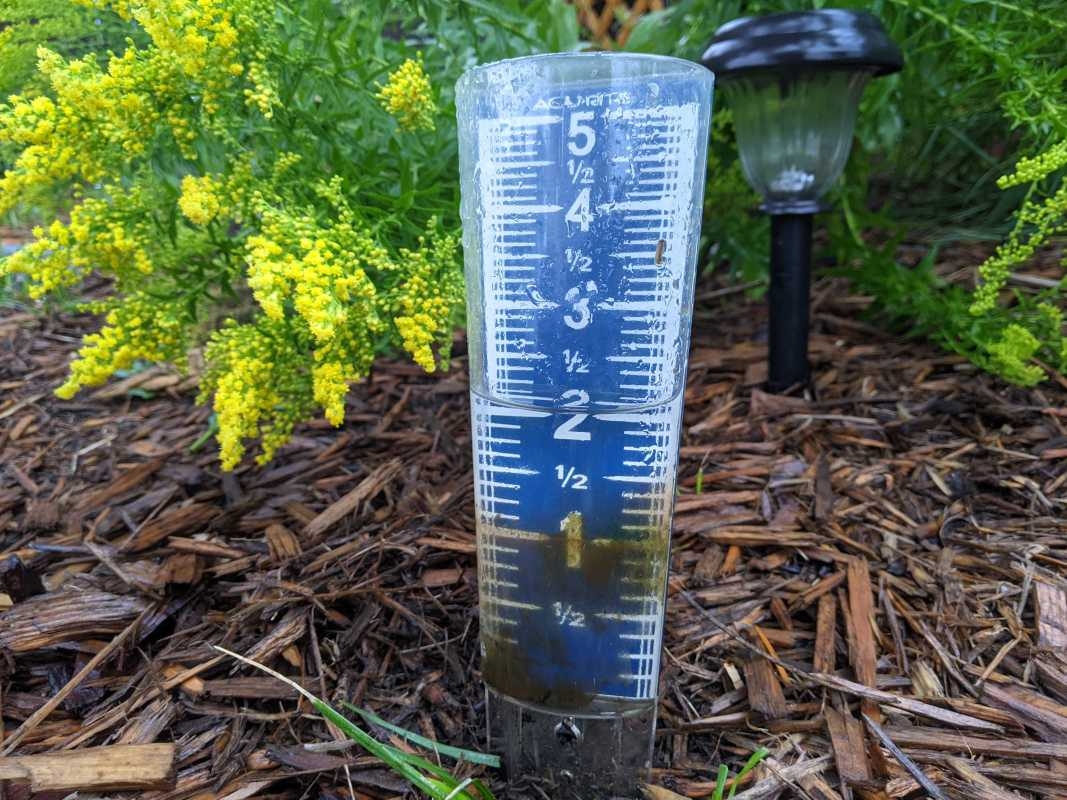 How much rain has fallen so far in Minnesota this week?