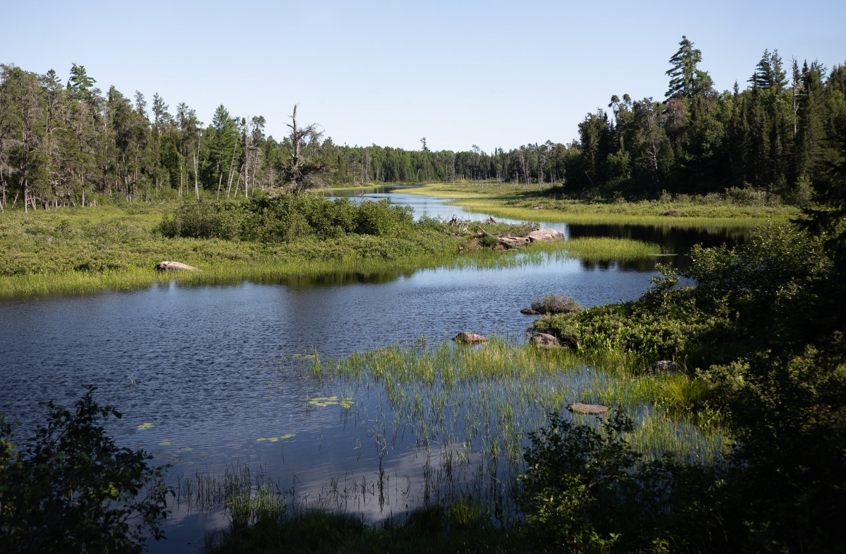 Stauber proposes 'Superior National Forest Restoration Act' that would reopen area to mining