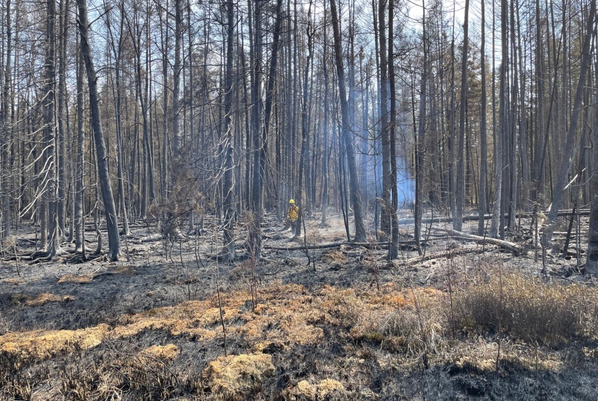 Camp House Fire now 31% contained, reducing in size