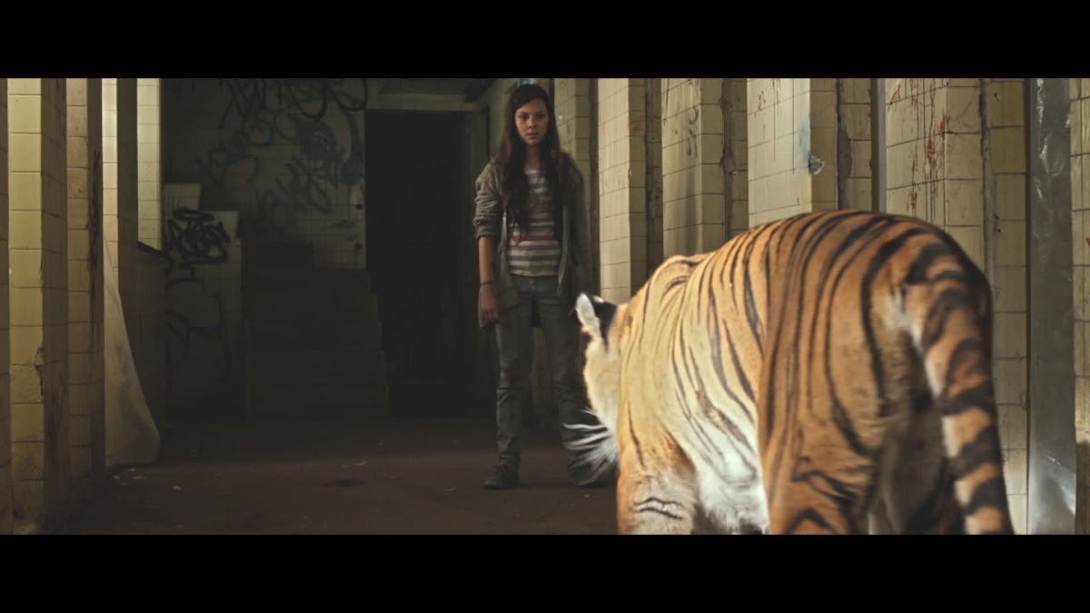 Movies to see this week: Turtles, 'Tigers Are Not Afraid,' 'Donnie Darko'