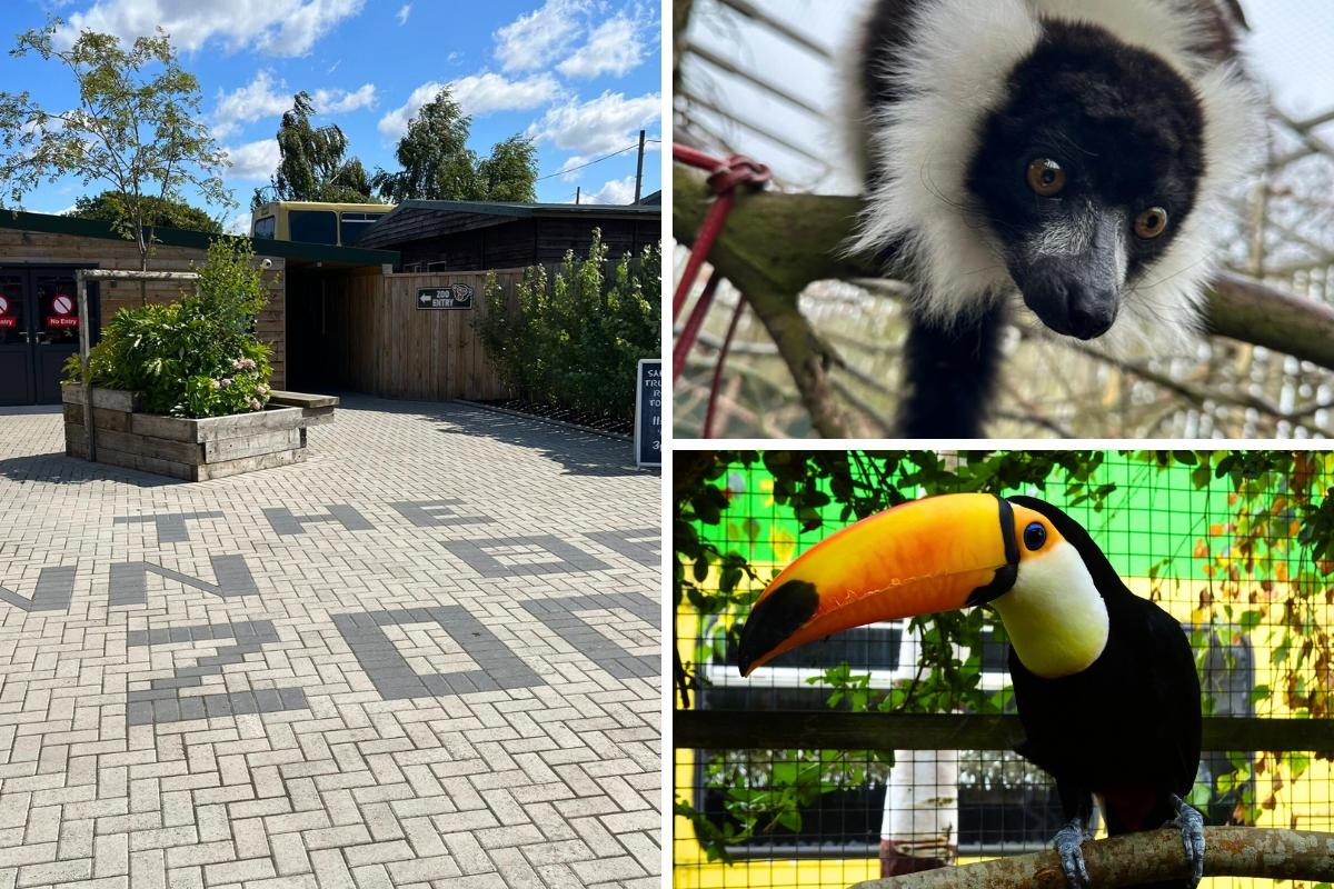 The Kent pub doubling as a zoo that's looking for a new animal keeper