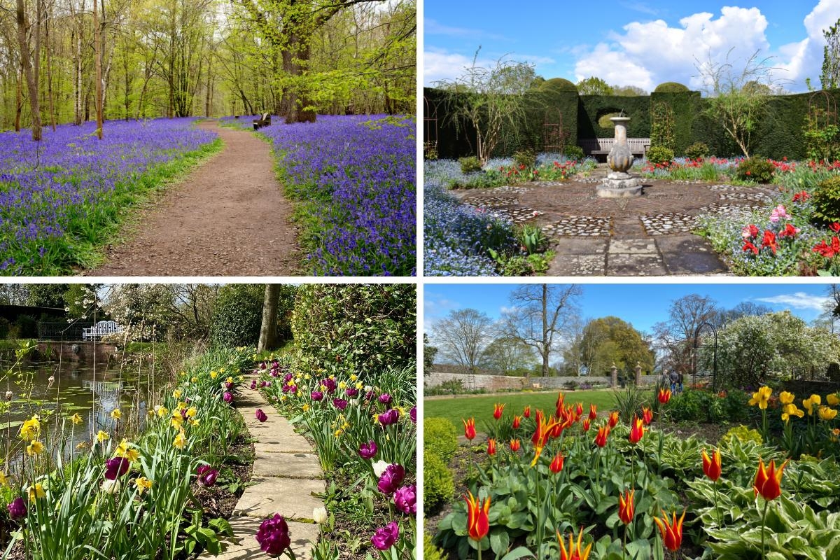 The park with a stunning bluebell walk that's just 45 minutes drive from Beckenham