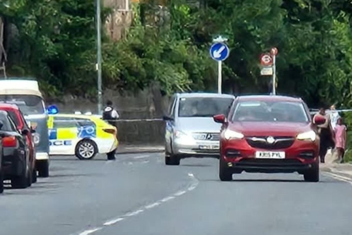 Two taken to hospital after middle-of-night Belvedere crash