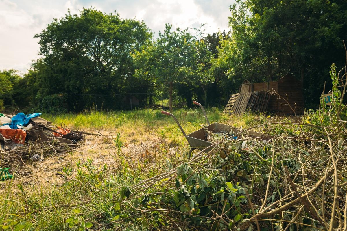 Campaign to revive ‘neglected' Grove Park allotments which played role in WWII