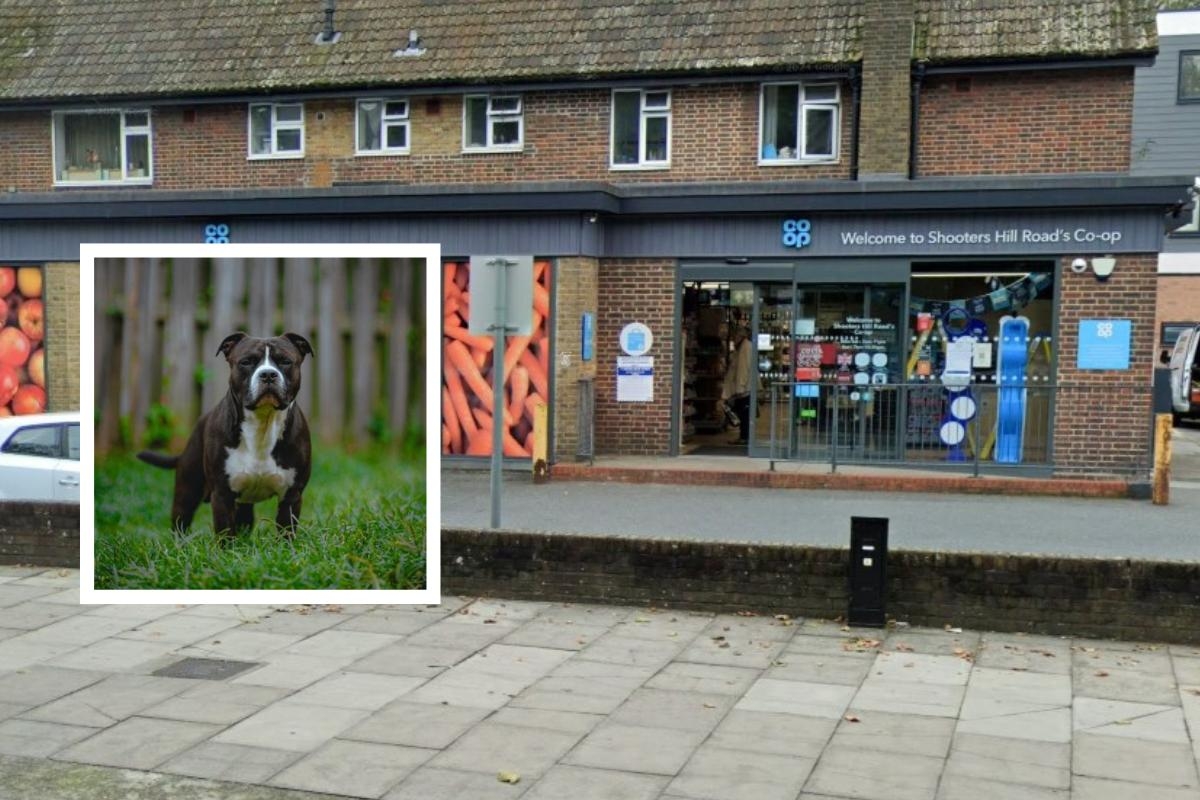 Man bitten whilst saving his dog from Staffie attack outside Shooters Hill Co-op