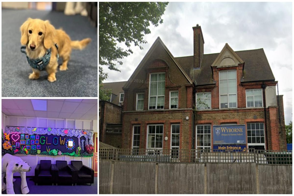 The inclusive primary school in New Eltham shortlisted for national award