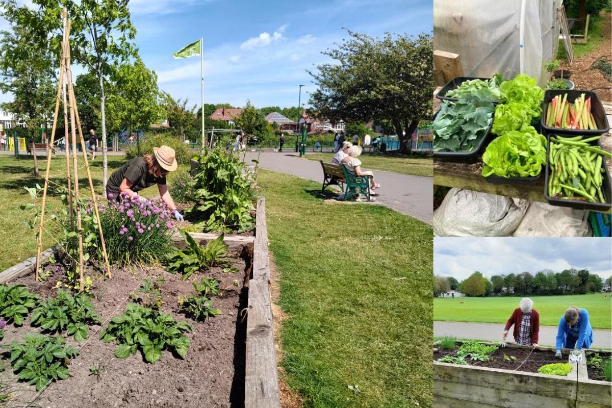 Council-backed scheme encourages people to grow food on public land
