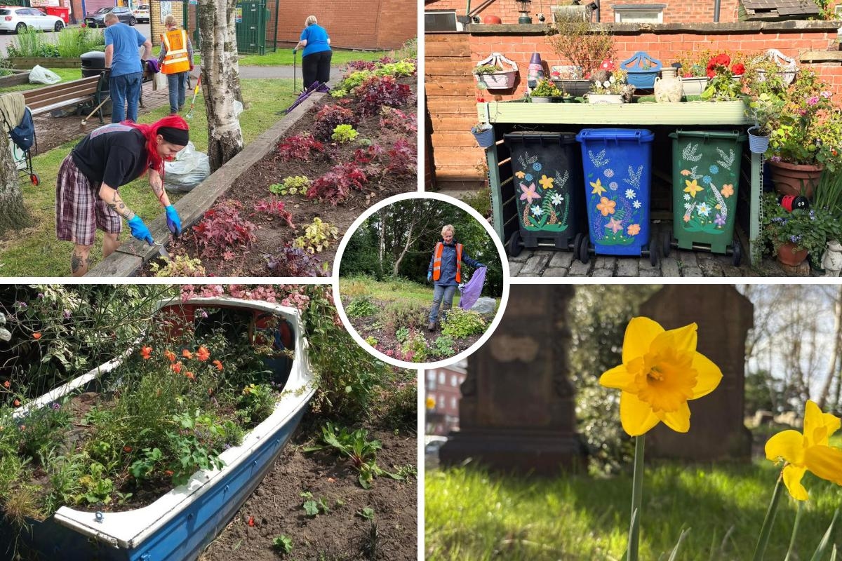 Gardens looking wonderful as they are entered into national gardening competition
