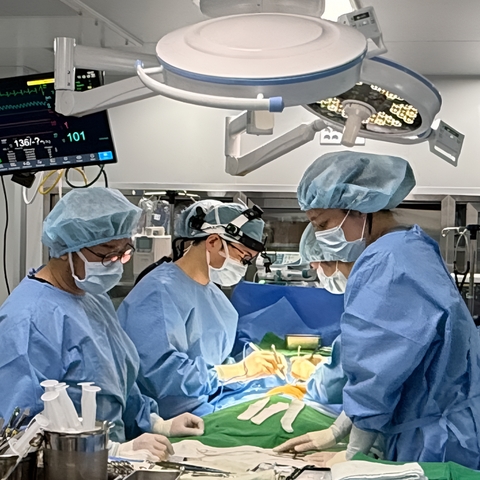NEL Animal Cardiovascular Center Achieves World's First Surgical Correction of Complex VSD in Canine Patient