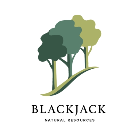 Blackjack Natural Resources Announces Formation and Equity Commitment from Pearl Energy Investments