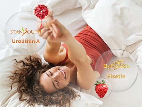 Bonerge Initiates Clinical Trial on Urolithin A and Fisetin for Sleep & Wellbeing