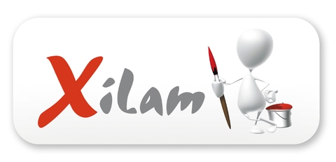 Xilam Group and TF1 Power Up Partnership for Turbo Twins