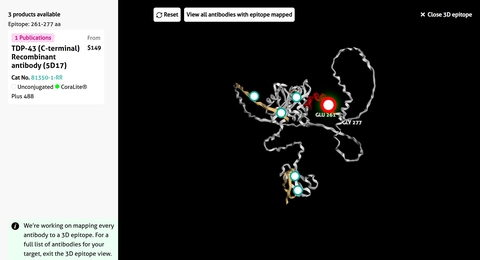 Proteintech Unveils Next-Gen 3D Epitope Mapping to Accelerate Life Science Research