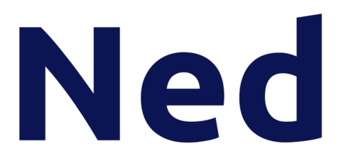 Ned Introduces Spotlight, a Lightweight Solution for Instant Cash Flow Insight