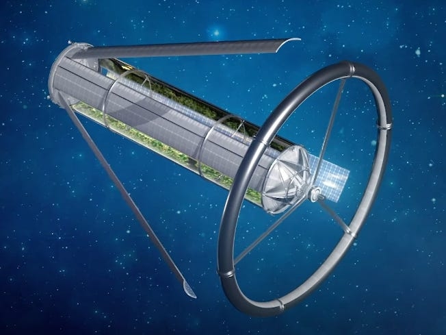 Astronauts and scientists explain why living in space is almost impossible
