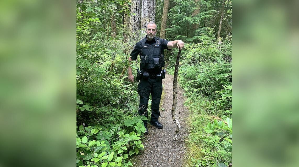 1.5-metre-long boa constrictor found on the loose in provincial park near Comox, B.C.