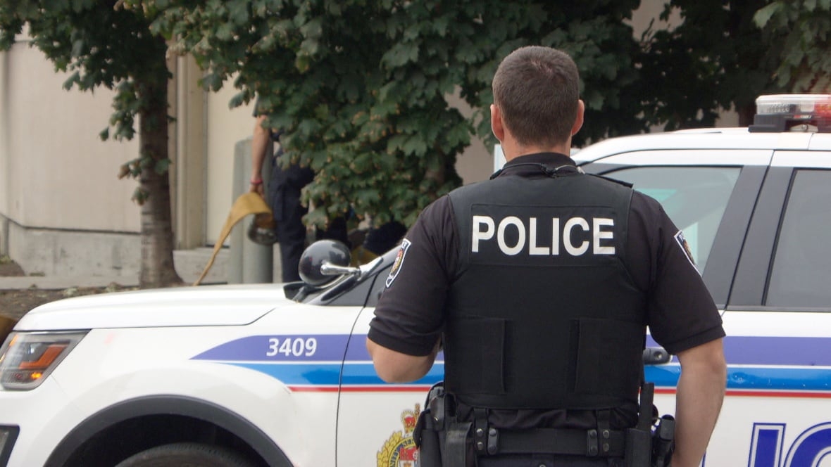 No system to track, train lying police, lawyer says after another scathing decision
