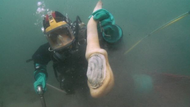 Seafood producers doubtful B.C. trade mission will lessen immediate toll of China's tariffs