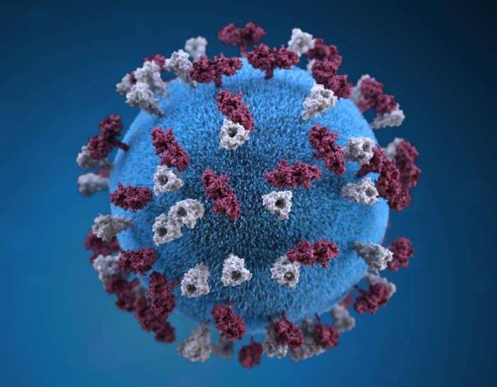 Alberta's measles outbreaks are now the worst in nearly half a century