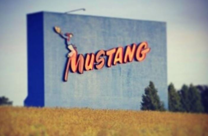 For $3.4M, you could own this southern Ontario drive-in movie theatre