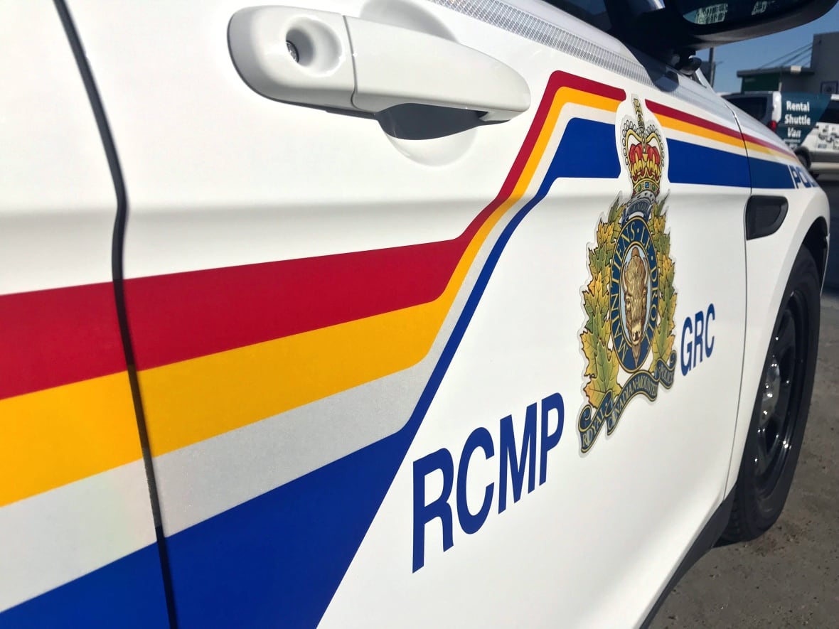 Charges laid after house fire, police cruiser ramming and pursuit near Prince Albert