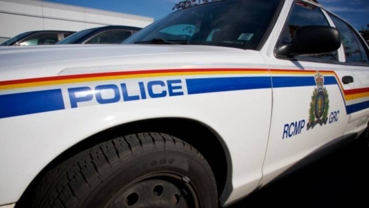 Police fatally shoot man after he pulled gun on officers: Alberta RCMP