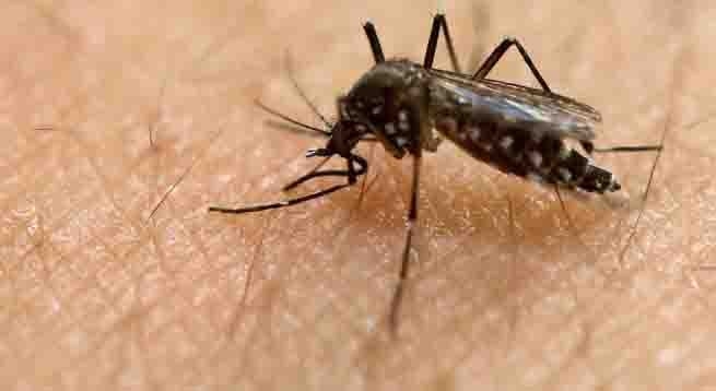 Province to begin spraying for mosquitos in Winkler Friday as West Nile concerns rise