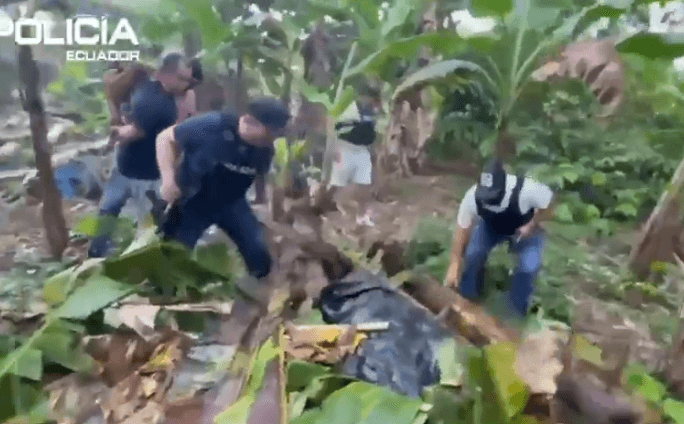 Gunmen disguised as soldiers kill 12 spectators at cockfight