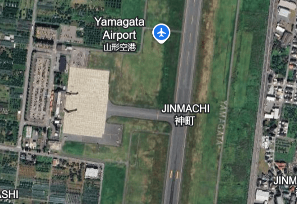 Bear on runway halts flights at airport: "We're in a stalemate"