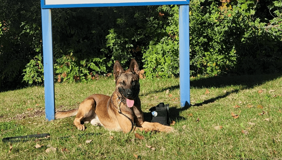 Police K-9 and suspect killed during standoff in Maine