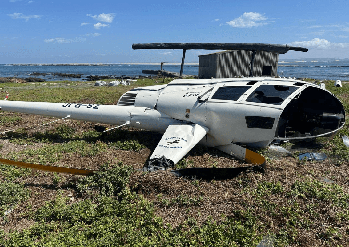 Penguin in cardboard box led to South Africa helicopter crash, report says