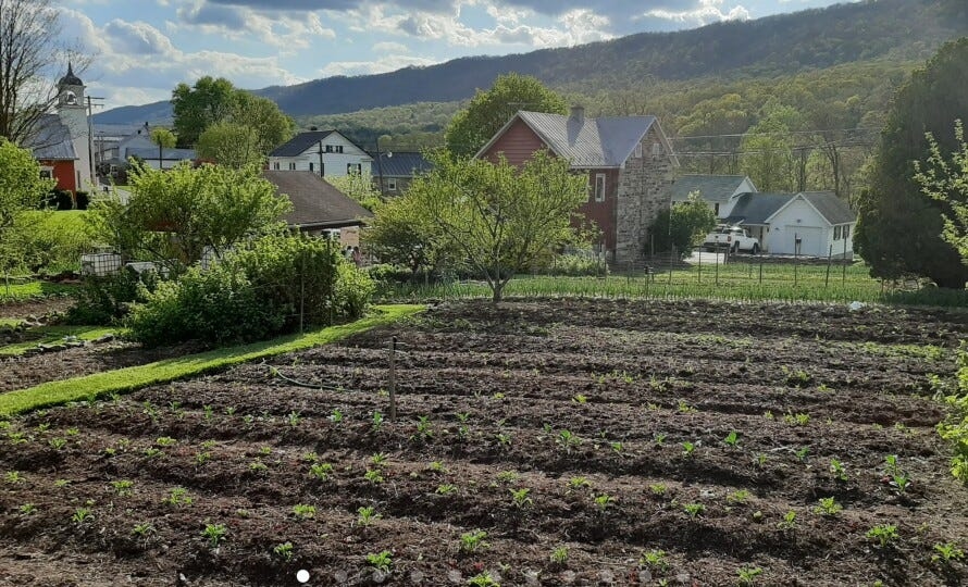 Foot of the Mountain Farm brings Franklin County flavor to D.C.