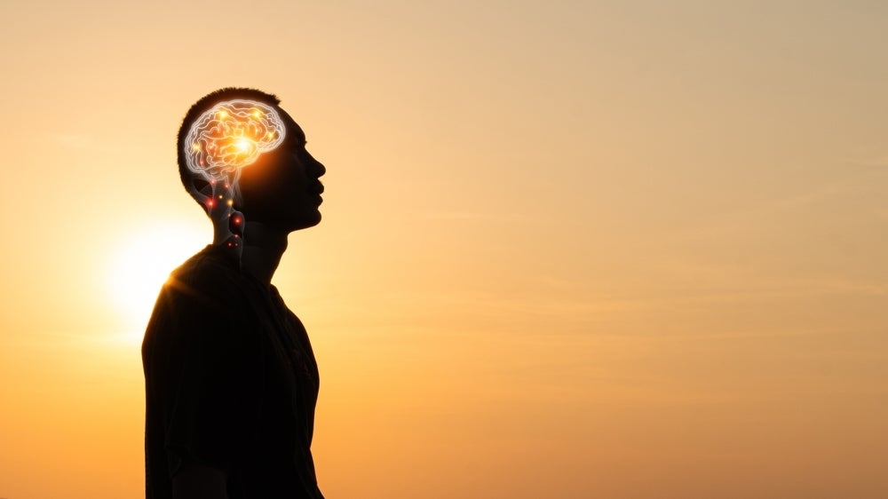 World Brain Day: brain health and an ageing population